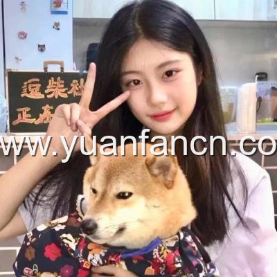 yy6090青苹果影院私人影院体验正当时,私人观影常见误区需厘清