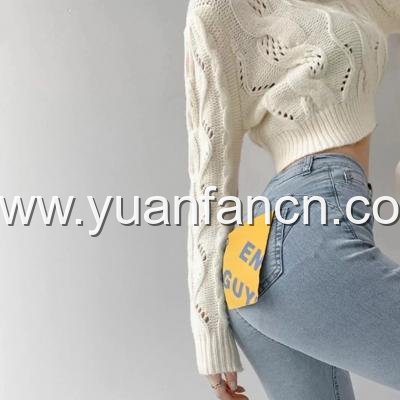 评析 成人H动漫精品一区二区无码 软件的特点、用户体验和行业影响