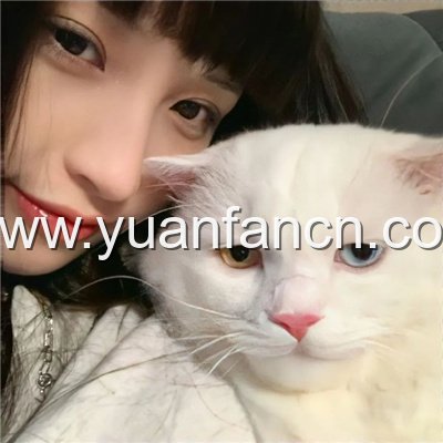 搜狗视频-更新更 全免费 影视剧观看平台