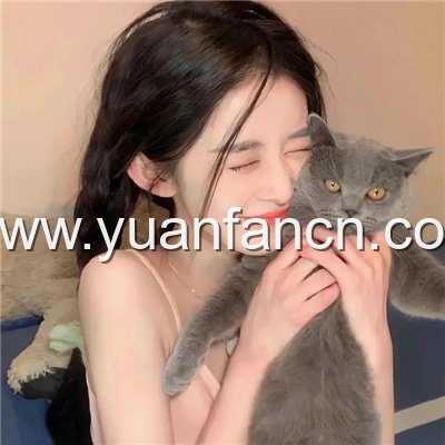 天美麻花星空免费观看完整版乡村版 电影-天美麻花星空