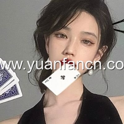 python在线观看源码 解析,从技术黑盒到艺术创作,拆解流