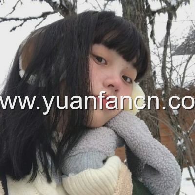 红猫大本猫营211hm 实际效果揭秘,广东八二站资料权威