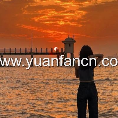 暴躁姐姐BGM免费 下载 方法 -暴躁姐姐BGM免费下载方法